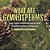 What Are Gymnosperms? Life Cycle, Characteristics And Identifying Gymnosperms Grade 6-8 Life Science-.. - Imagem 1