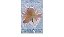 The Wordsworth Collection Of Classic Romances-.. - Imagem 1