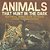 Animals That Hunt In The Dark - Nocturnal Animal Book 1ST Grade Children's Animal Books-.. - Imagem 1