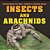 Insects And Arachnids: Animal Books For Kids Children's Animal Books-.. - Imagem 1
