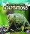 Rain Forest Animal - Adaptations-.. - Imagem 1