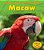 Macaw (A Day In The Life)-.. - Imagem 1