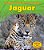Jaguar (A Day In The Life)-.. - Imagem 1