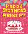 Happy Birthday Brinley - The Big Birthday Activity Book: Personalized Children's Activity Book-.. - Imagem 1