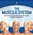 The Muscle System The Amazing Human Body And Its Systems Grade 4 Children's Anatomy Books-.. - Imagem 1