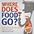 Where Does Food Go? Function And Role Of The Human Digestive And Excretory Systems Grade 6-8 Life Science-.. - Imagem 1
