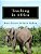 Teaching In Africa-.. - Imagem 1