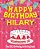 Happy Birthday Hilary - The Big Birthday Activity Book: Personalized Children's Activity Book-.. - Imagem 1