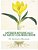 Antique Botanicals I - An Adult Coloring Book-.. - Imagem 1