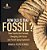 How Old Is That Fossil? How Fossils Are Formed, Changing Life Forms And Fossil Aging Explained Grade 6-8 Life Science-.. - Imagem 1