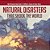 Natural Disasters That Shook The World World Disasters Book Grade 6 Children's Science & Nature Books-.. - Imagem 1