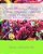 Phoenix Horizons Ministry & Music Magazine - (Vol. 1-2): Coffee Table Book 2010 Edition-.. - Imagem 1