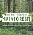 The Tree-Mendous Rainforest! All About The Rainforests Children's Nature Books-.. - Imagem 1