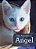 The Adventures Of Angel: A Kitten's Story-.. - Imagem 1