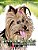 Precious Pooches Dog Coloring Book - Dogs Coloring Pages For Kids & Adults-.. - Imagem 1