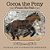Cocoa The Pony: Found His Path-.. - Imagem 1