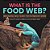 What Is The Food Web? Understanding Energy Transfers From One Organism To Another Science For Grade 2 Children's Science & Nature Books-.. - Imagem 1