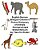 English-German Bilingual Children's Picture Dictionary Of Animals Zweisprachiges Bildwörterbuch Der Tiere Für Kinder-.. - Imagem 1