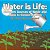 Water Is Life: Different Sources Of Water And Ways To Conserve Them (For Early Science Learners)-.. - Imagem 1
