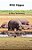 Wild Hippos-.. - Imagem 1