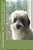 The Complete Adventures Of Munchie And Misha-.. - Imagem 1