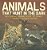 Animals That Hunt In The Dark - Nocturnal Animal Book 1ST Grade Children's Animal Books-.. - Imagem 1