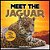 Meet The Jaguar: Fun Facts & Cool Pictures-.. - Imagem 1
