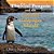 The Rarest Penguin And The Enchanted Galapagos Islands-.. - Imagem 1