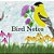 Bird Notes-.. - Imagem 1