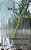 Honey Island Swamp Child: Disquieting Stories For Autumn-.. - Imagem 1