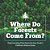 Where Do Forests Come From? Understanding Plant Reproduction Grade 5 Children's Nature Books-.. - Imagem 1