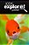 Gold Fish - Kids Explore: Animal Books Nonfiction - Books Ages 5-6-.. - Imagem 1