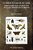 Curious Facts In The History Of Insects-.. - Imagem 1
