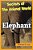 Secrets Of The Animal World Elephant: Children's Animals Books-.. - Imagem 1