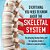 Everything You Need To Know About The Skeletal System The Amazing Human Body And Its Systems Grade 4 Children's Anatomy Books-.. - Imagem 1