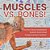 Muscles Vs. Bones! Human Musculoskeletal System Examined Integumentary System Grade 6-8 Life Science-.. - Imagem 1