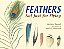 Feathers: Not Just For Flying-.. - Imagem 1
