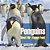 Penguins - Meet Mr. Flappy Feet-.. - Imagem 1