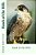 Hawk Of The Hills-.. - Imagem 1