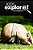 Armadillos - Kids Explore: Animal Books Nonfiction - Books Ages 5-6-.. - Imagem 1