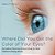 Where Did You Get The Color Of Your Eyes? - Hereditary Patterns Science Book For Kids Children's Biology Books-.. - Imagem 1