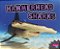 Hammerhead Sharks - Imagem 1