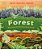 Forest: Walk Through The Fascinating World Of The Wild-.. - Imagem 1