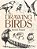 Drawing Birds-.. - Imagem 1
