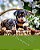 Relaxing Activity For Adults: Wonderful Dogs And Puppies Coloring Book For Adults Relaxation And Stress Relief-.. - Imagem 1