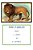 Fables From A To Z (From Aesop To Zuñiga)-.. - Imagem 1