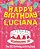 Happy Birthday Luciana - The Big Birthday Activity Book: Personalized Children's Activity Book-.. - Imagem 1