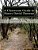 A Classroom Guide To Henry David Thoreau: Walden & Resistance To Civil Government-.. - Imagem 1