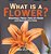 What Is A Flower? Dissecting A Flower, Parts Of A Flower And Reproductive Roles Grade 6-8 Life Science-.. - Imagem 1
