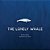 The Lonely Whale-.. - Imagem 1